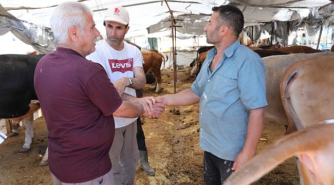 Bayraklı Belediyesi Kurban Bayramı'na hazır