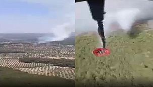 Bergama'da orman yangını