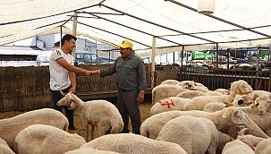 Bornova'da bayram tedbirleri tamam