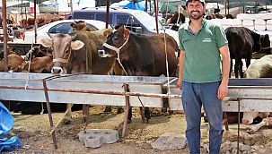 İzmir Kurban Bayramı'na hazır