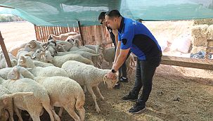 Menderes Bayrama Hazır