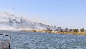 Aliağa'daki otluk yangınına havadan ve karadan müdahale