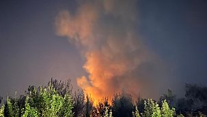 Bakan Yumaklı açıkladı: Tüm yangınlar kontrol altında