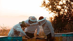 Bayraklı Belediyesinden yerel üreticiye kurs desteği