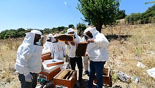 Bornovalı arıcılara yerinde destek
