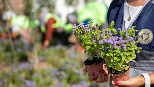 Buca'nın caddeleri çiçek açtı