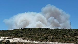 Çeşme'deki orman yangınına havadan ve karadan müdahale