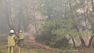 İtfaiye ekipleri gece gündüz demeden alevlerin arasında