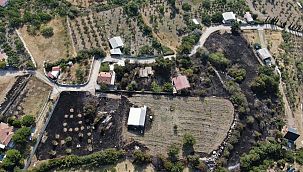 İzmir'deki orman yangının boyutu gün ağarınca ortaya çıktı