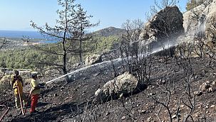 İzmir Urla'daki orman yangını kısmen kontrol altında