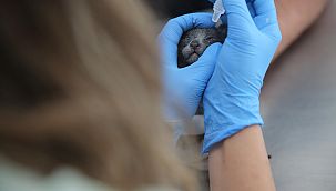 Konak'ta çöpten 'Umut' doğdu