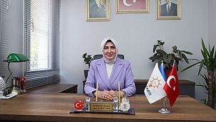 AK Parti'li Özen'den, Lal Denizli'ye sokak hayvanları salvosu