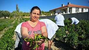 Bornova Belediyesi'nden yerel üreticilere tam destek