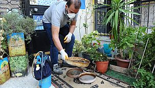 Karşıyaka'da haşereyle kararlı mücadele