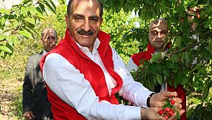 Kiraz ihracatı 209 milyon dolara ulaştı