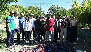 O çiftçinin erikleri, ihtiyaç sahiplerine ulaştı