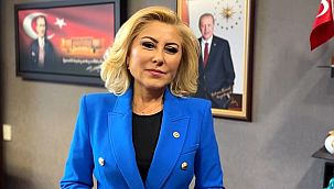 AK Partili Bursalı'dan Mutlu'ya 'stratejik plan' çıkışı