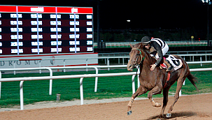 At yarışında yeni dönem başladı