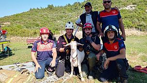 İzmir İtfaiyesi'nden yürekleri ısıtan kurtarma operasyonu