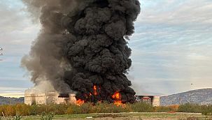 İzmir'de alevler fabrikayı, dumanlar gökyüzünü sardı