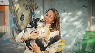 Konak Belediyesi can dostları yeni yuvalarına kavuşturuyor