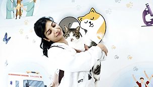 Konak'ın engelleri aşan Kedi Evi'nden sahiplenme çağrısı