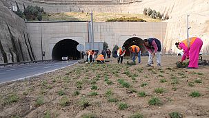 Kuraklığa karşı İzmir'in yeşil örtüsünde dönüşüm 