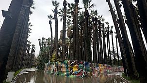 89 Yaşındaki Kültürpark Ölüyor mu?