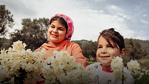 Bayındır'da mis kokulu festival başlıyor