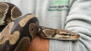 Doğal Yaşam Parkı'nda hedef 1 milyon ziyaretçi