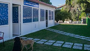 Davutlar Mahallesi'ne kedi kısırlaştırma merkezi açılıyor