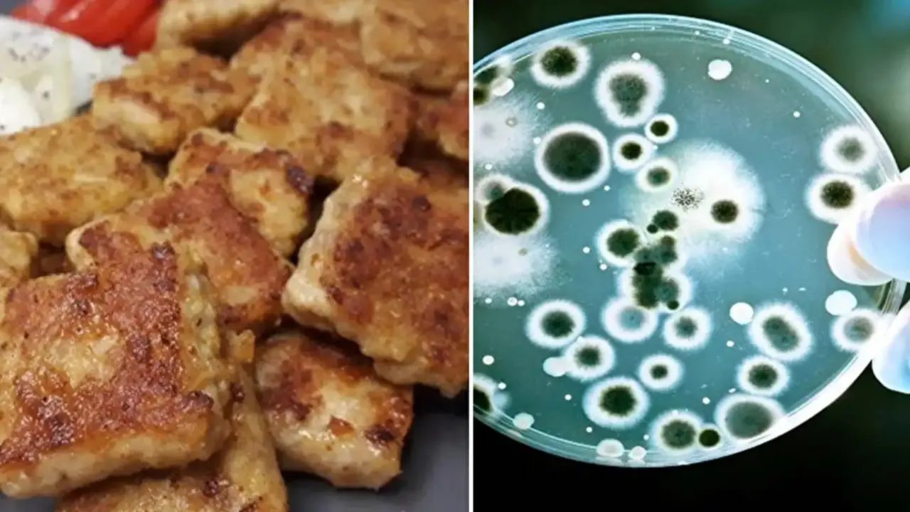 Ünlü markanın köfte ürününde ölümcül virüs tespit edildi!