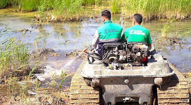 ALİAĞA BELEDİYESİNDEN HAŞERELERE KARŞI YOĞUN MÜCADELE
