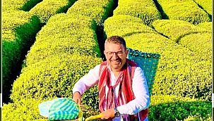 Karadeniz'in Parlayan Yıldızı: Rize