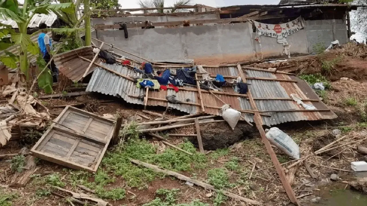 Tayland'ı Wipha fırtınası vurdu: 7 ölü, 143 yaralı