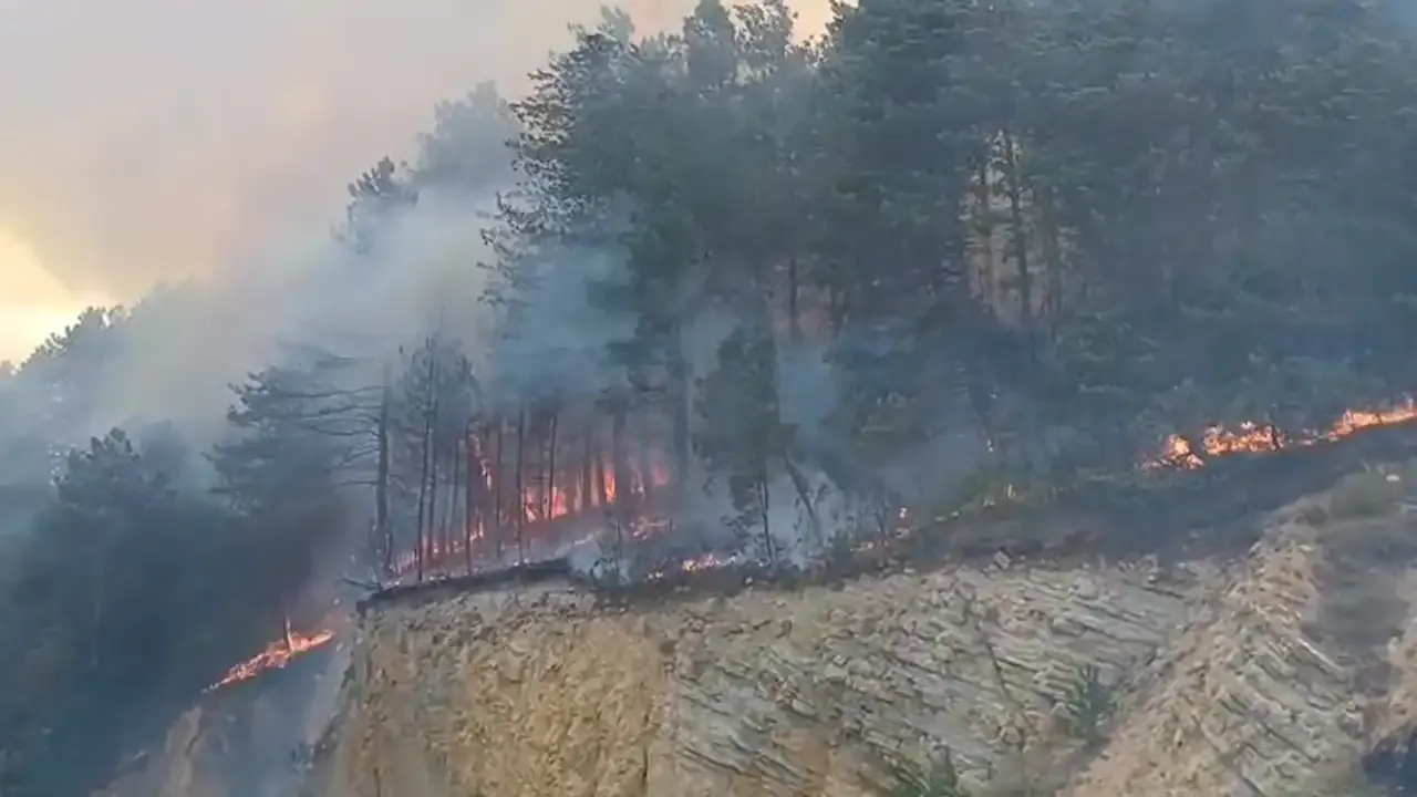 Bolu'da orman yangını başladı