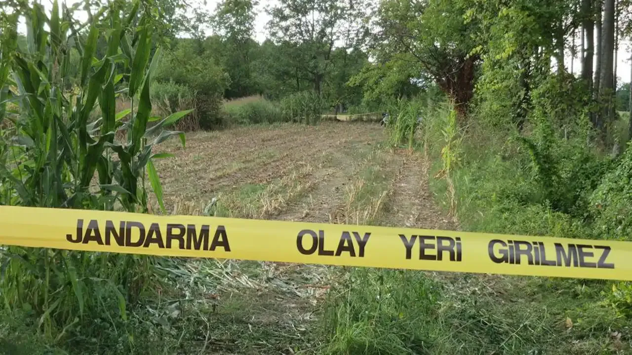 Mısır tarlasında insan kafatası bulundu