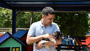 Başkan Günel'den can dostlara yeni proje