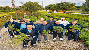 Büyükşehir fidanlıklarında yetişen bitkiler kente hayat veriyor