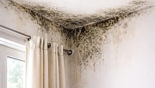 DEÜ'lü Prof. Dr. Alpaydın'dan nemli evler için kritik uyarı