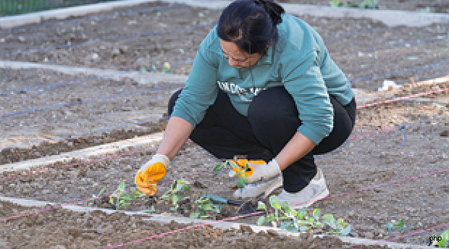 İzmir'de kadın dostu kent modeli güçleniyor