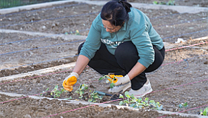 İzmir'de kadın dostu kent modeli güçleniyor