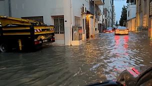 İzmir'de yollar göle döndü, ağaçlar devrildi