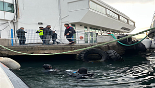 İzmir İtfaiyesi iskelede sıkışan kediyi kurtardı