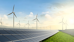 Karbon Dengeleme İklim Krizine Çözüm mü, Yeşil Aklama mı?