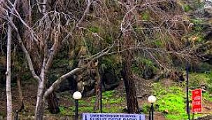 Koruma sınırları ve esasları güncellendi