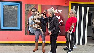 Kuşadası Belediyesi Sokak Hayvanlarına Umut Oluyor