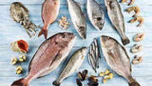 Sektör ihracatı 4 milyar doları aştı