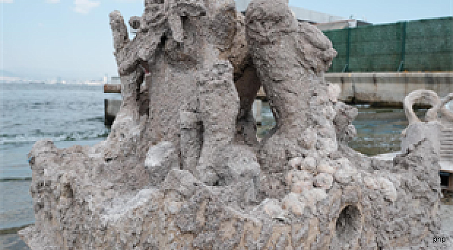 Deniz kabuklarıyla Körfez'e yeni hayat