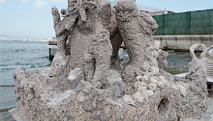 Deniz kabuklarıyla Körfez'e yeni hayat